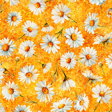DAISY DELIGHTS           